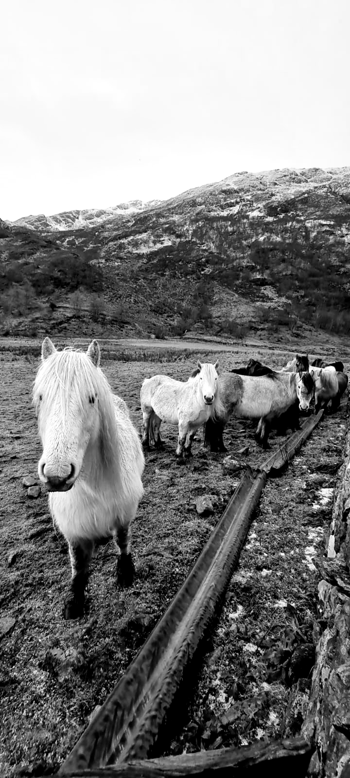 Street photo in Skye, United Kingdom by William Black