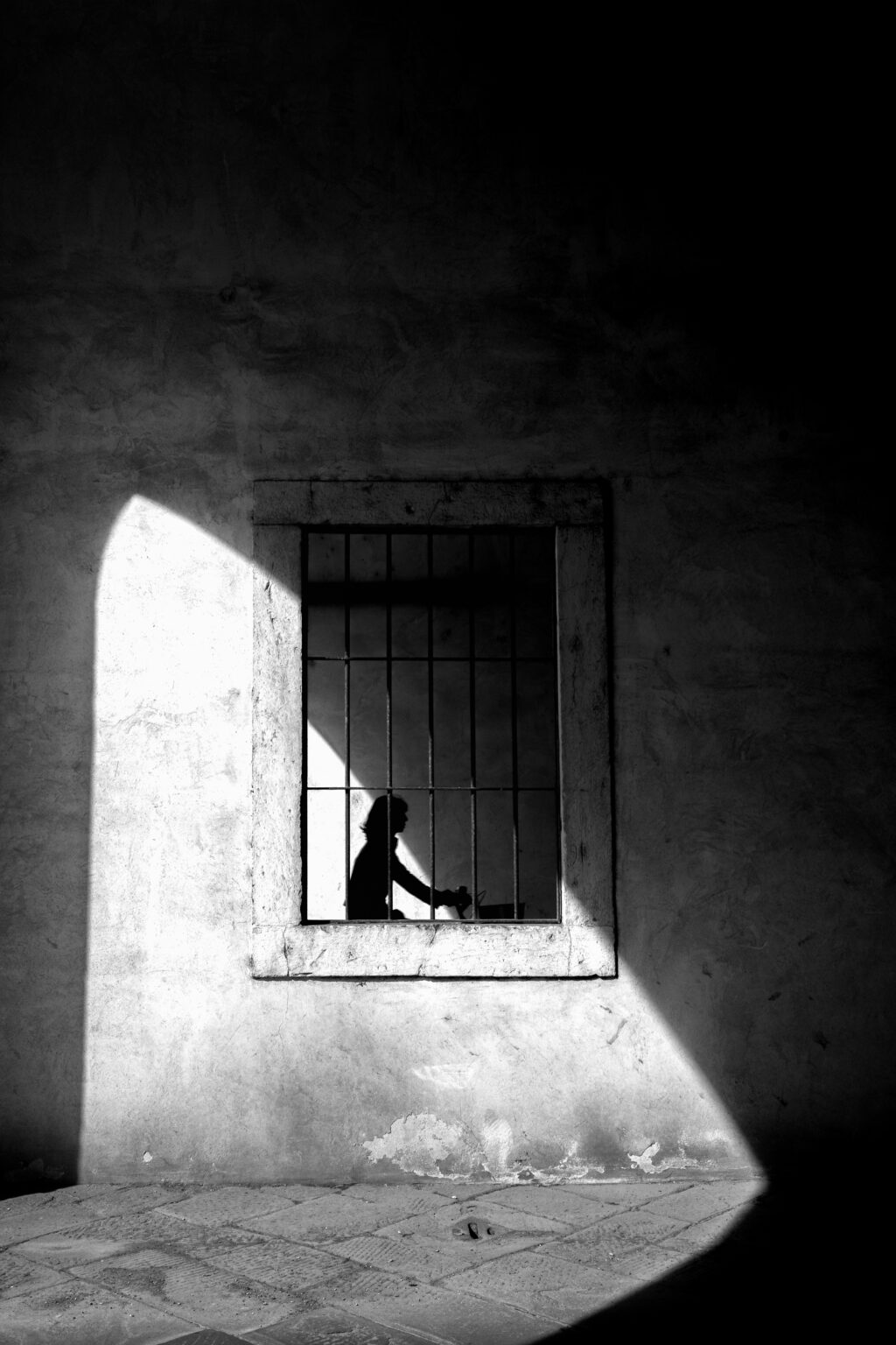Thomas Bassetti - 55100 Lucca, Province of Lucca, Italy