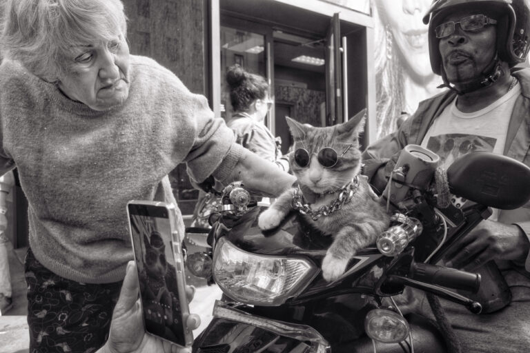 Photo by James Mcdermott