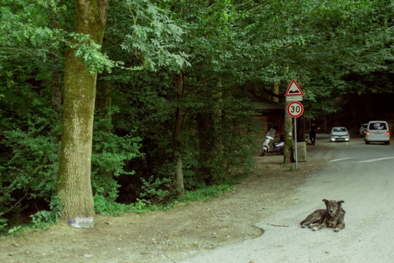 Photo by Emrullah Özdemir