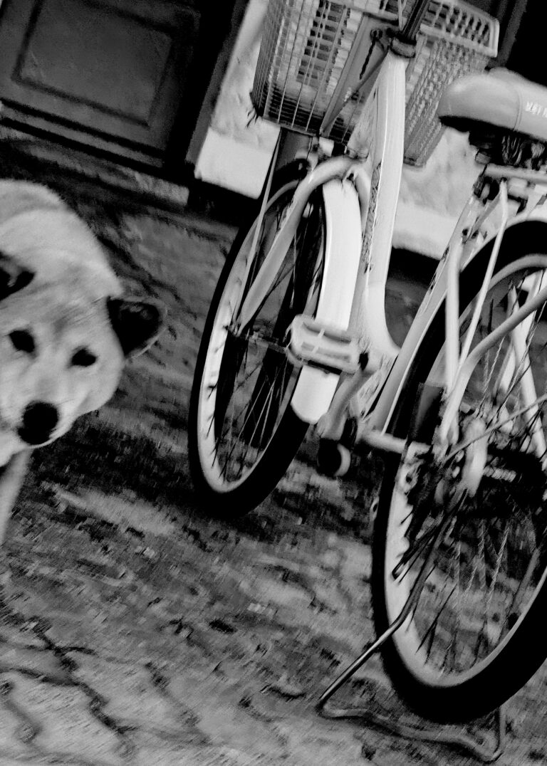 Street photo in Da Nang, Vietnam by David Rockwood
