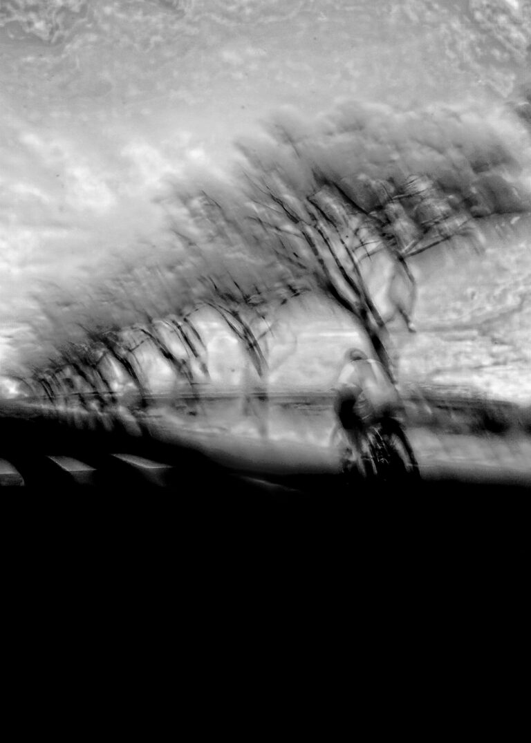 Photo by David Rockwood