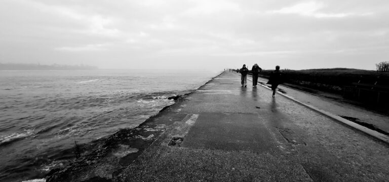 Street photo in South Shields, United Kingdom by William Black