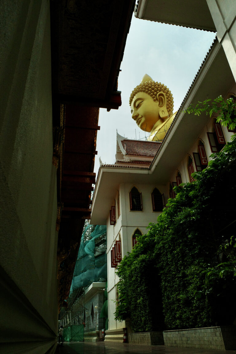 Photo by Jinhong Lin