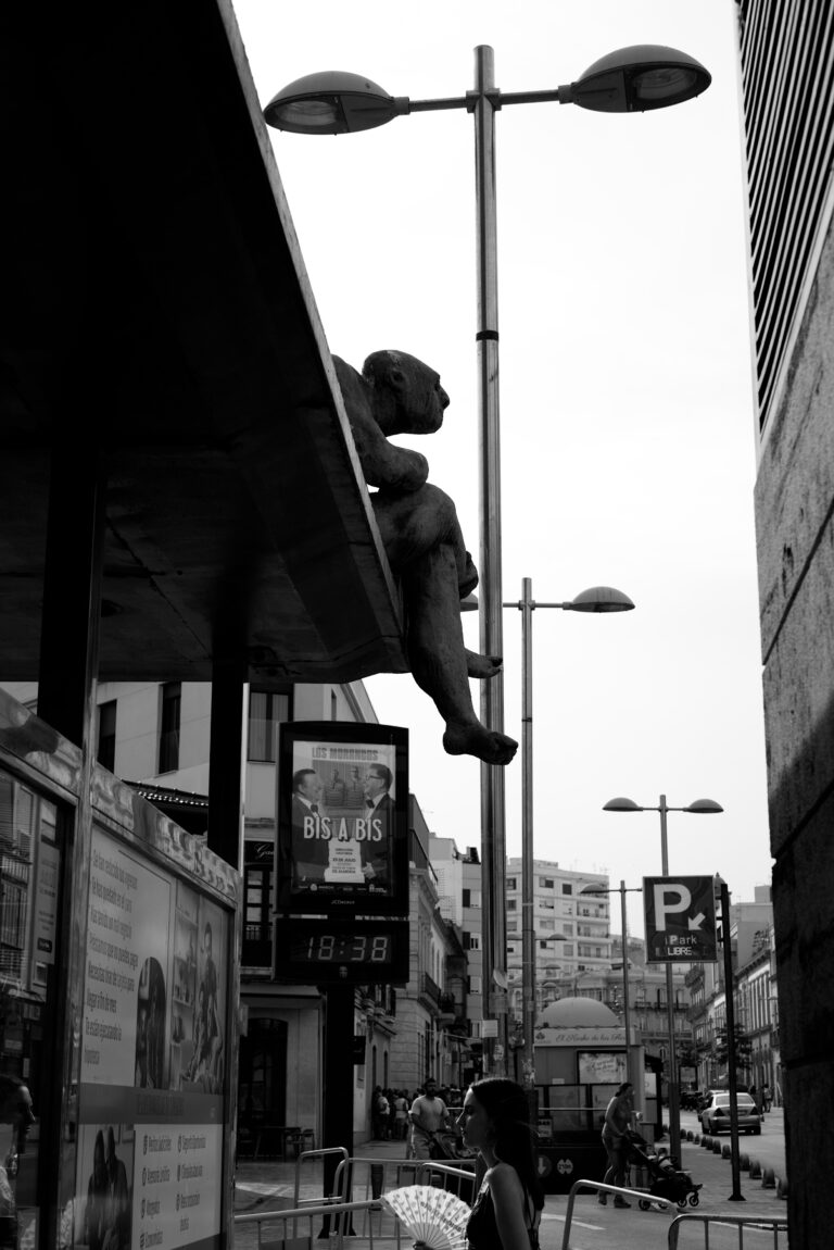 Photo by Pascal Hoerner