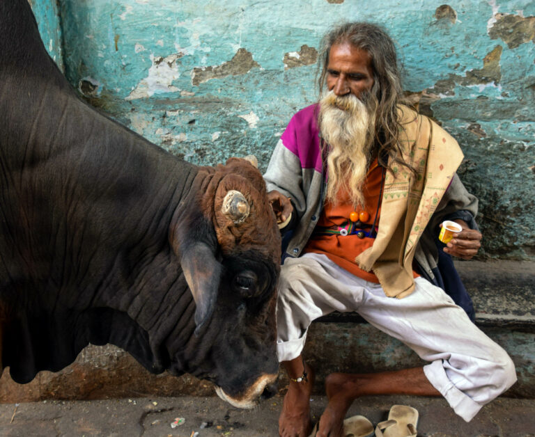 Street photo in Udaipur, India by Michael Kennedy