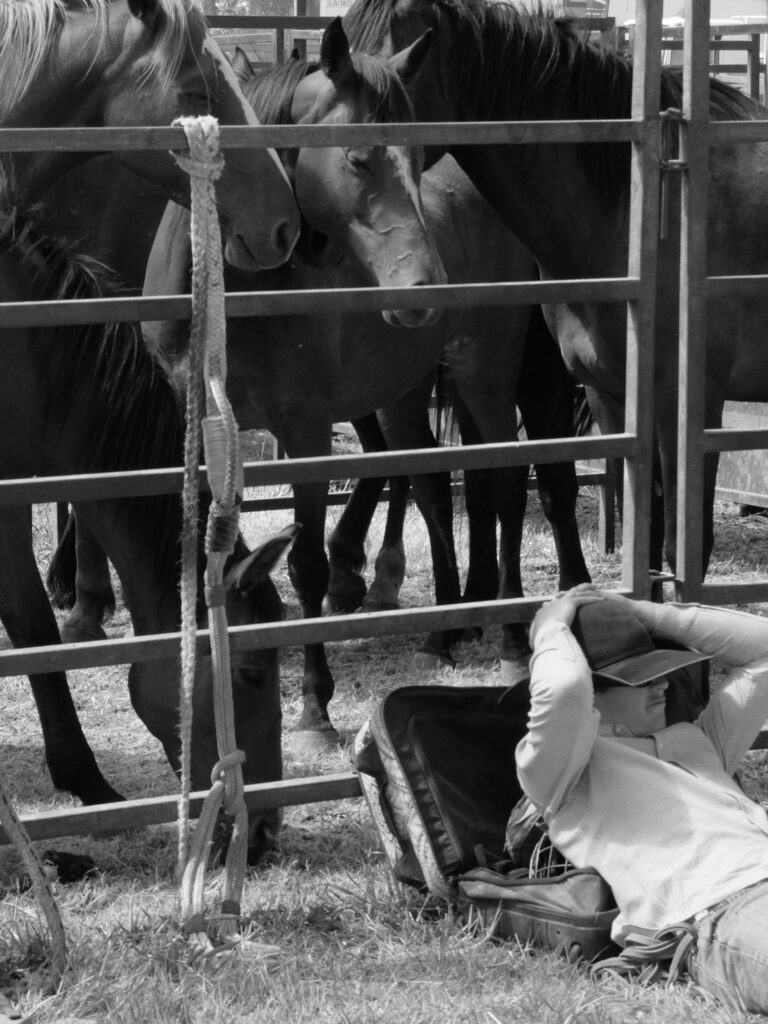 Street photo in Bunyip, Australia by Greg Latham
