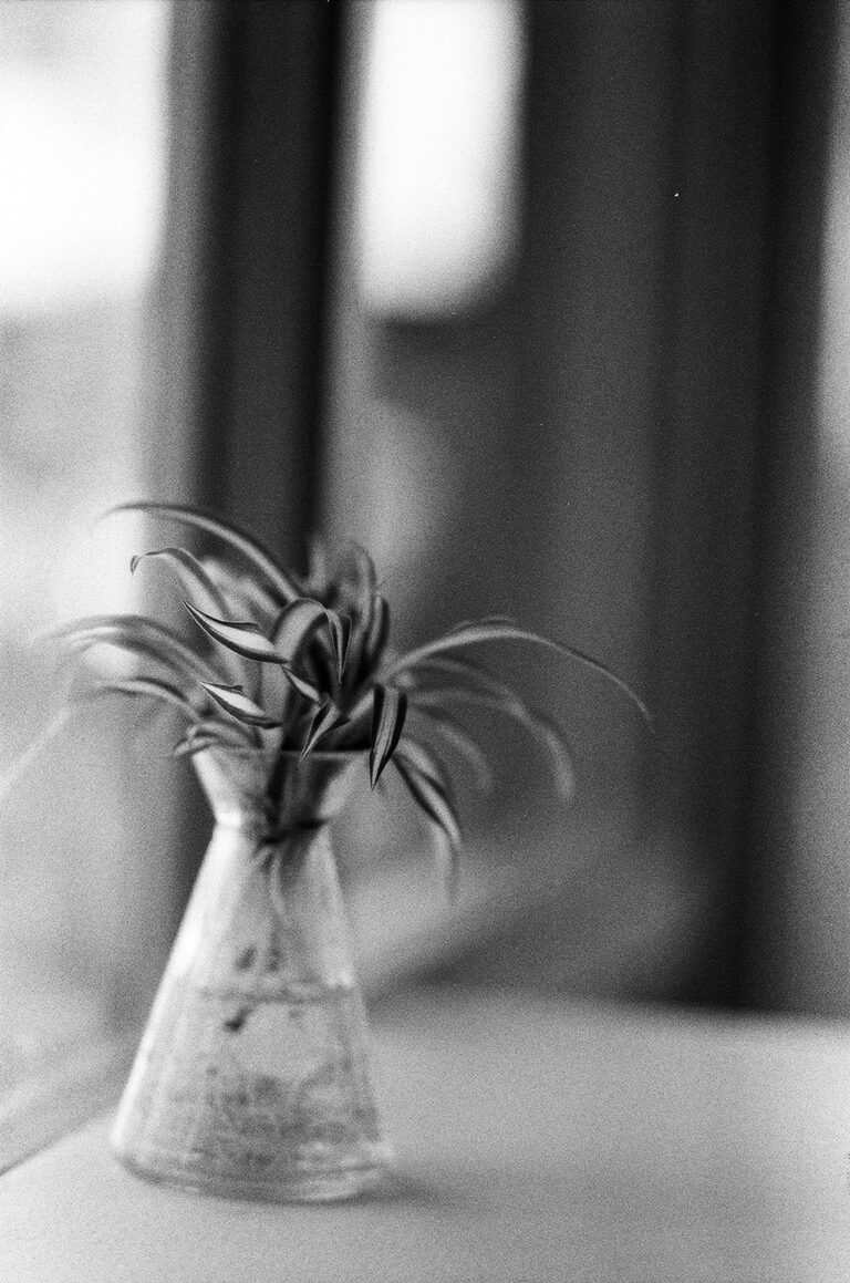 Photo by Viviana Alejandra