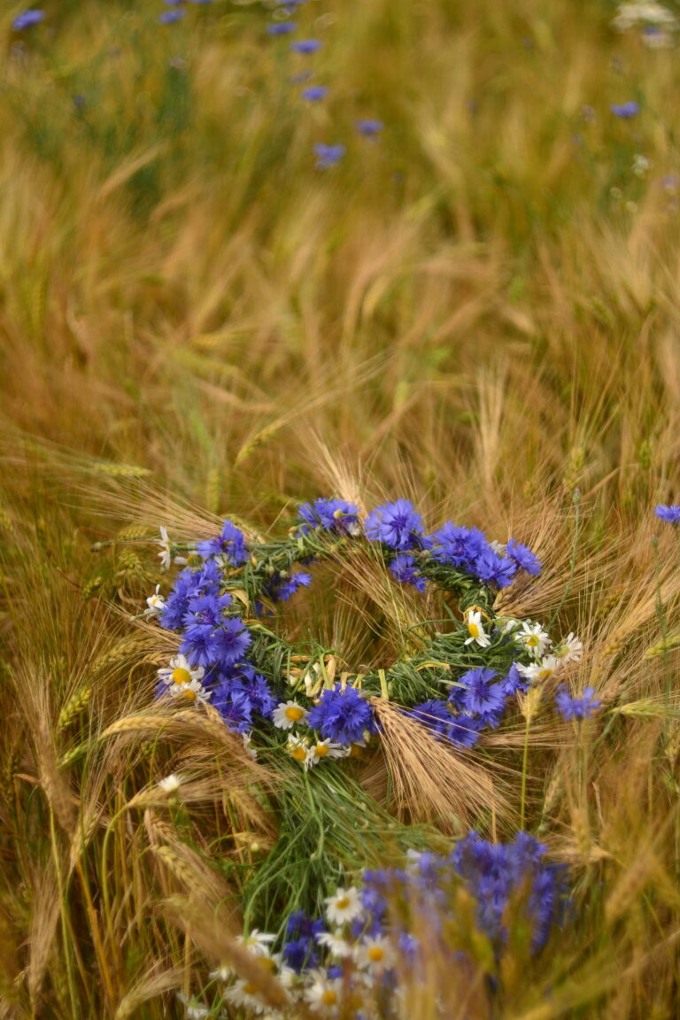 Photo by Aleksandr Beliko