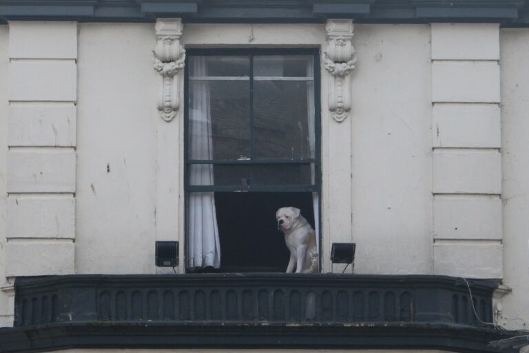Street photo in Penzance, United Kingdom by Martin B.