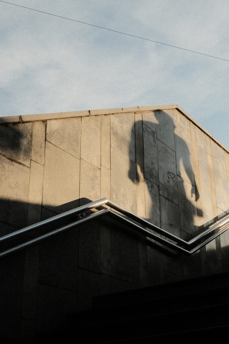 Photo by Jiří Zralý