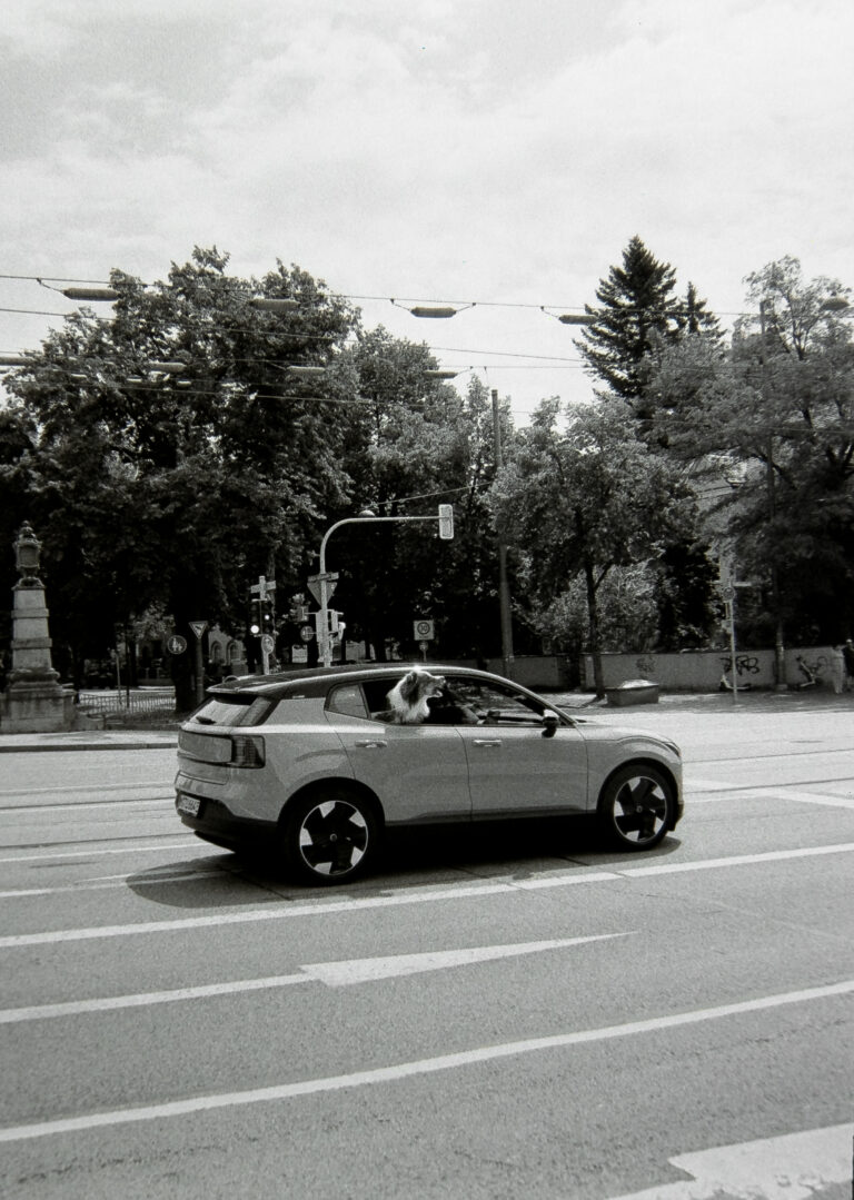 Photo by Alex Tukalo