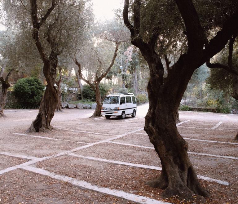 Photo by Alex Tukalo