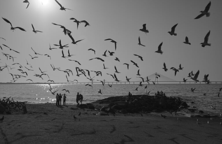 Photo by Sameer Khot