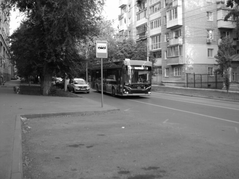 Photo by Ilya Borotinsky