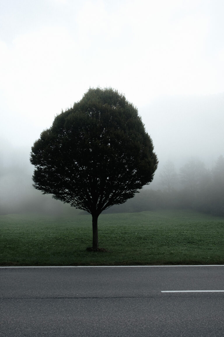 Photo by Alex Tukalo
