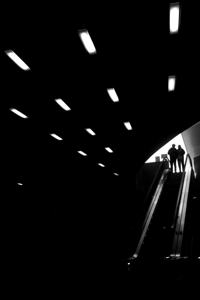 Photo by James Murray