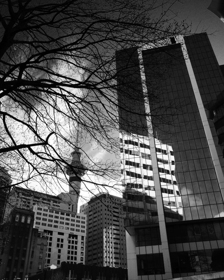 Photo by Ara In The Para