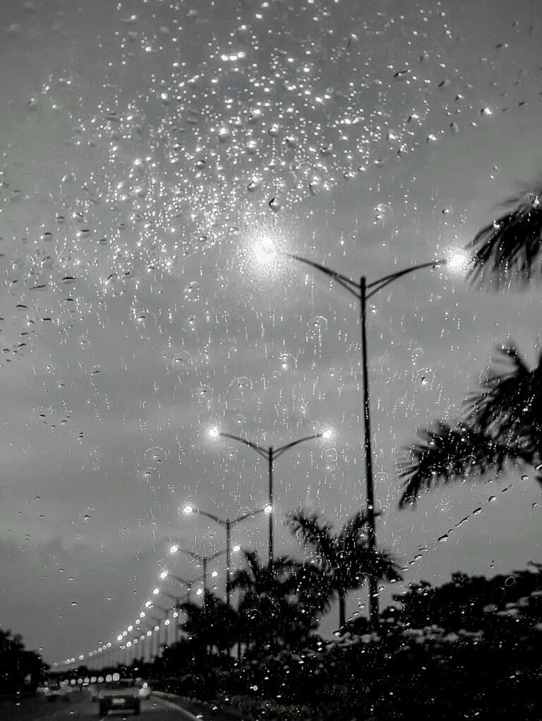 Photo by Tanwir Mir