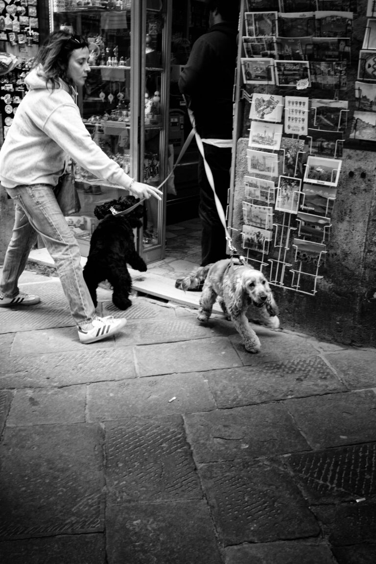 Photo by Thomas Bassetti