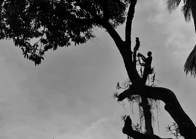 Photo by Em Rajeev