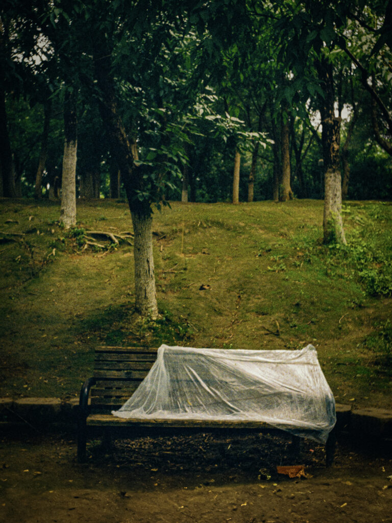 Photo by Alex 艾老师
