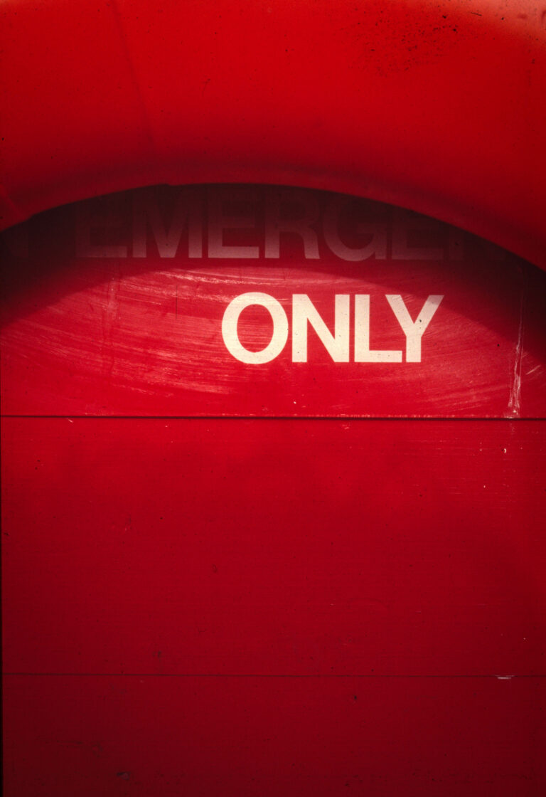 Photo by William Black