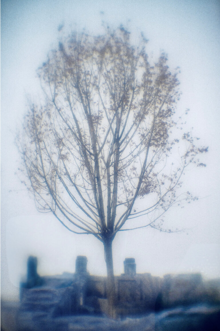 Photo by Alex 艾老师