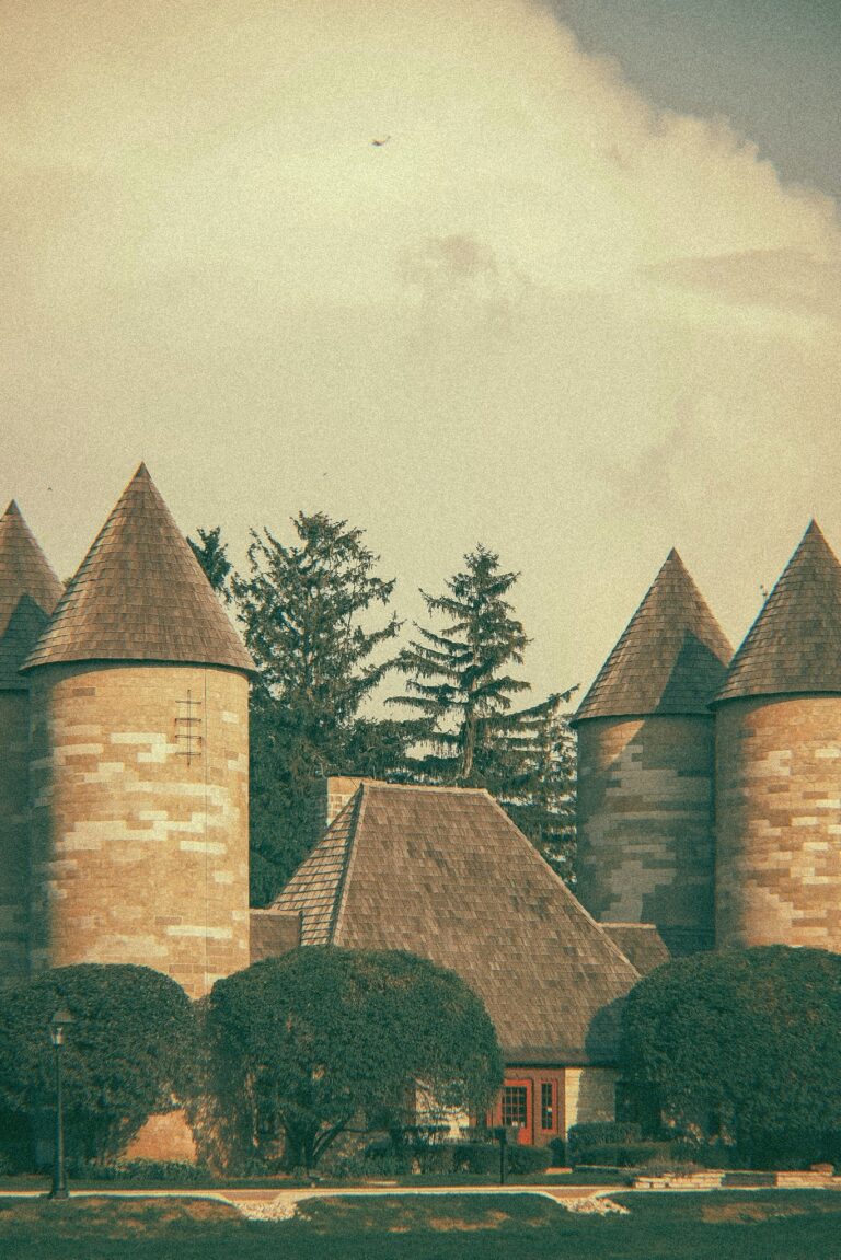 Photo by Eduard Cernautan