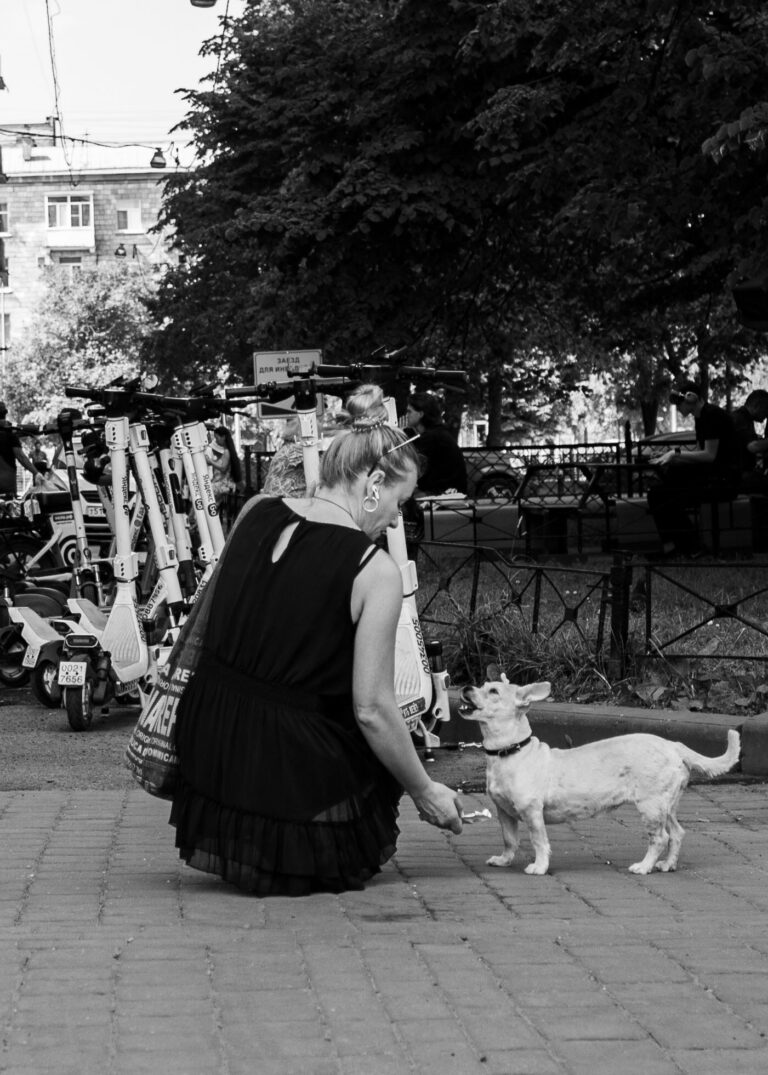 Photo by Irene Maynard