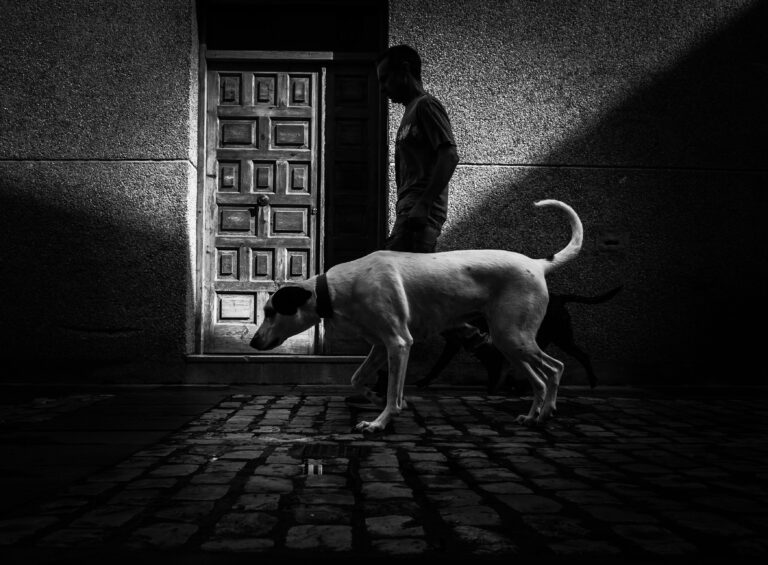 Photo by Lev Lev