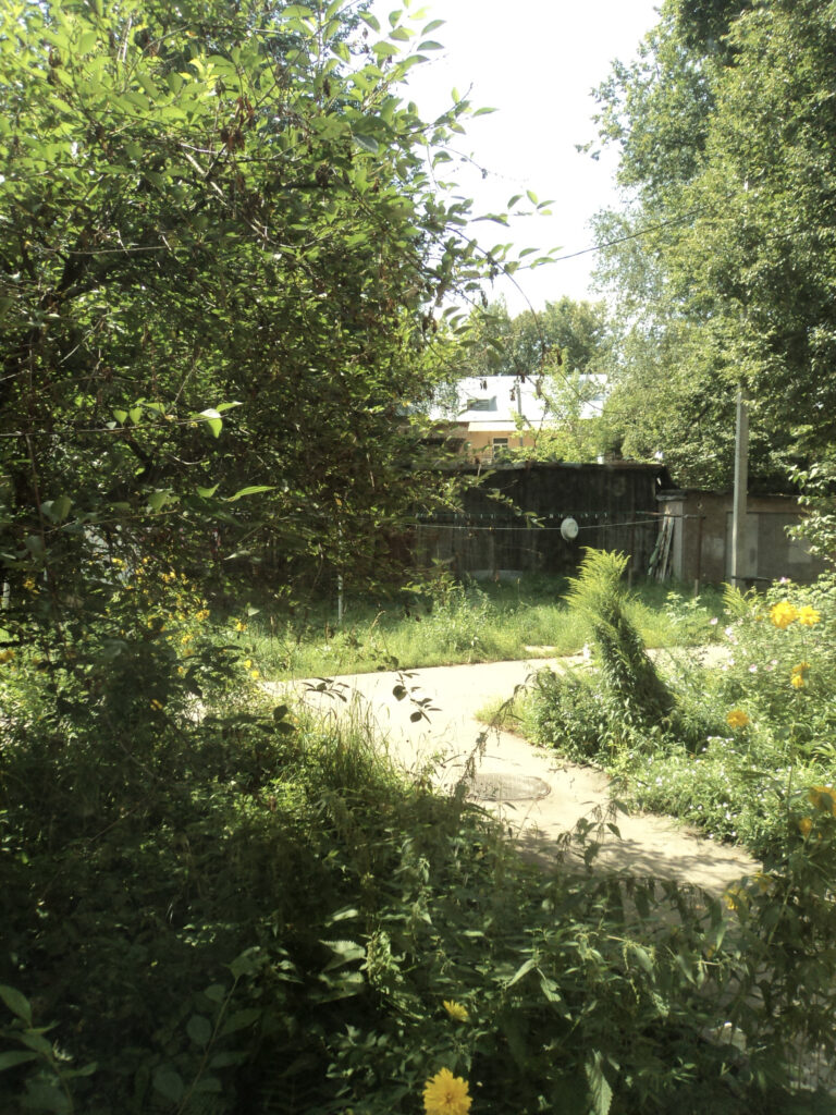 Photo by Darina Skobeleva