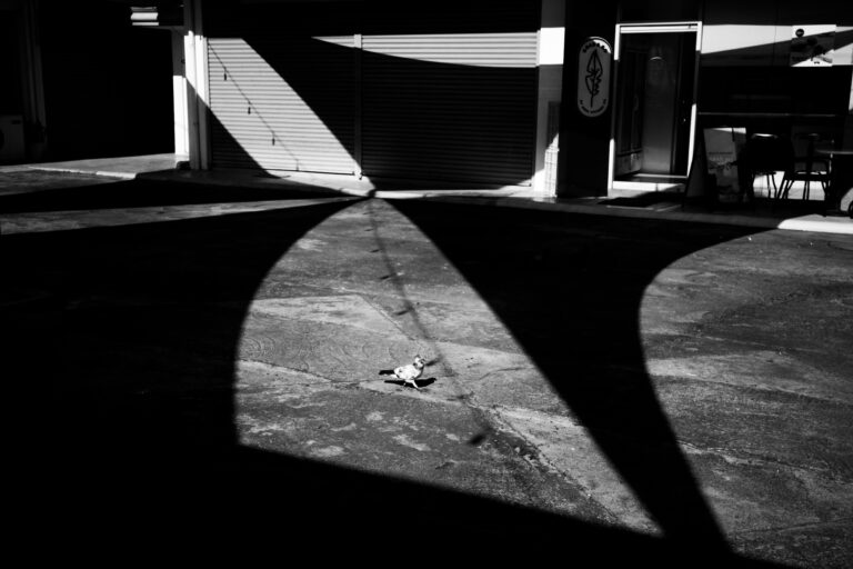 Photo by Kenneth Jay Batingal