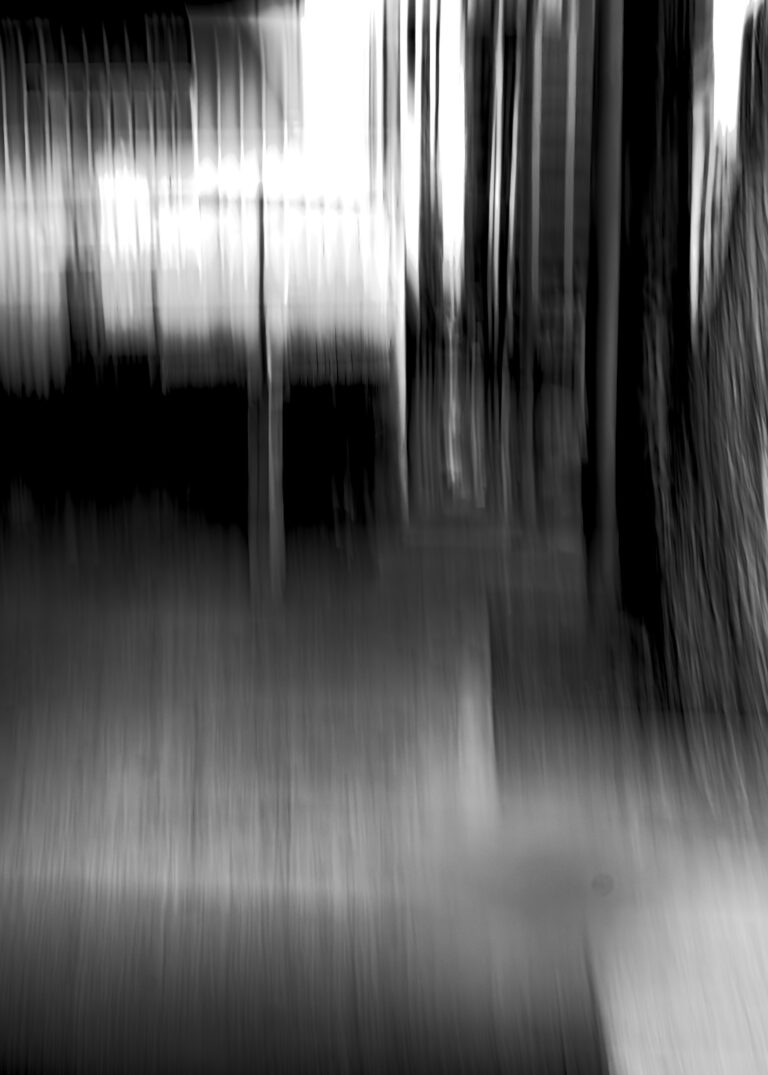 Photo by David Rockwood