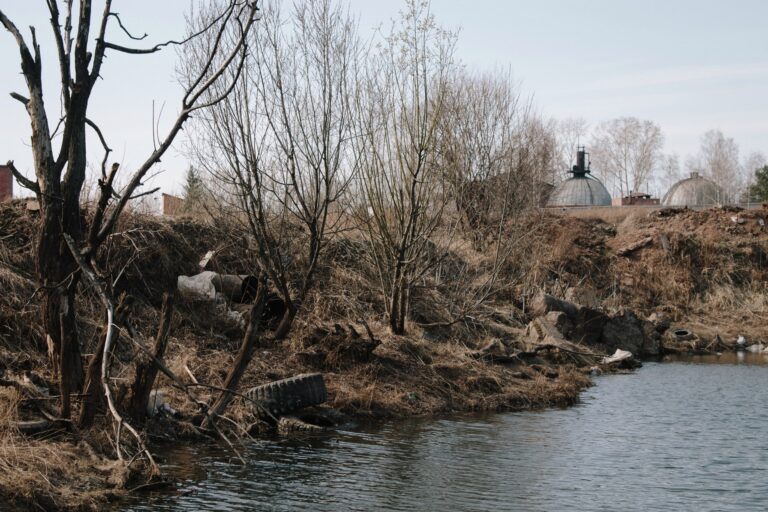Photo by Aleksandr Soldatov