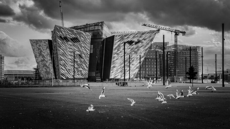 Photo by Alan Campbell