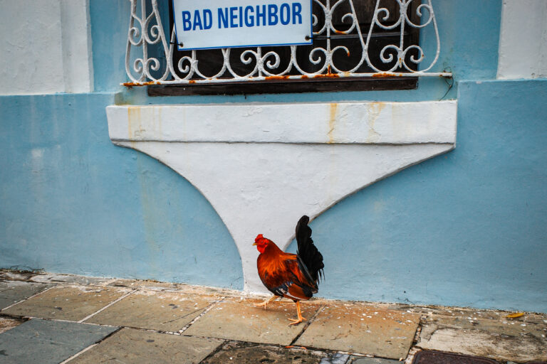 Photo by Leo Crespo