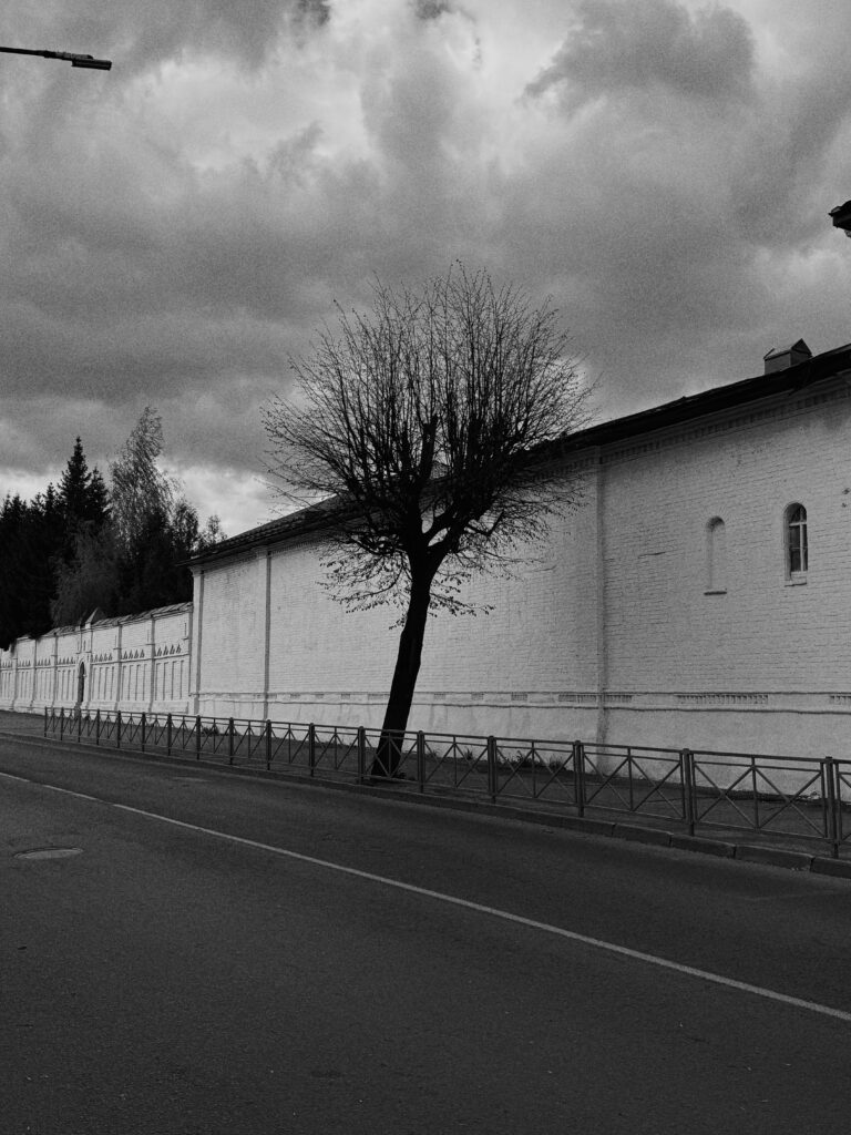 Photo by Aleksandr Soldatov