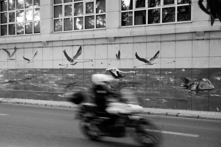Photo by Pascal Hoerner