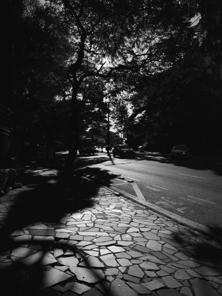 Photo by Patrick Souza