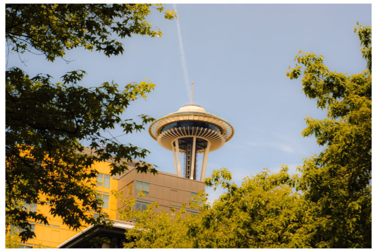 Photo by Matthew Ignatovich