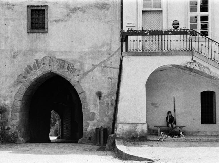 Photo by Jakub Herman