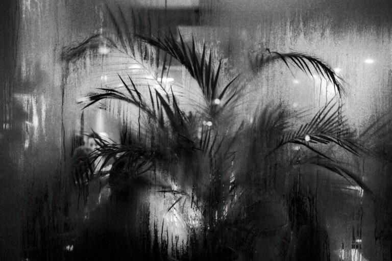 Photo by Frank Berlin