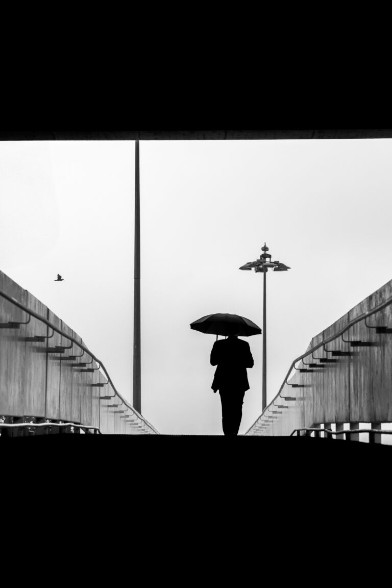 Photo by Marco Milling