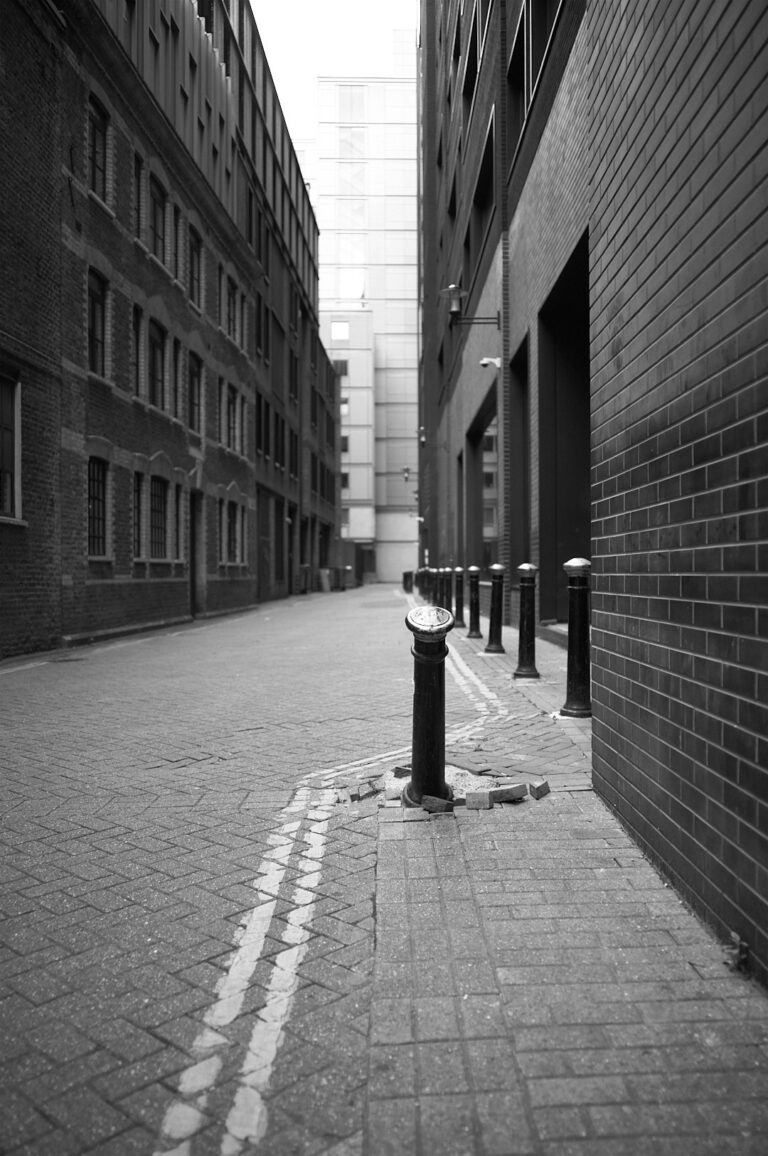 Photo by Andy Sheridan