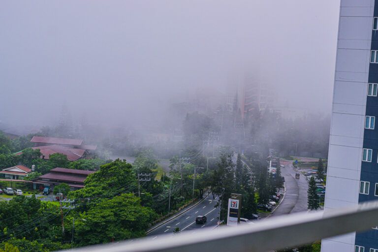 Photo by Aaron Alvaro