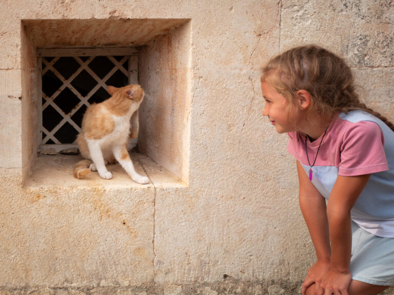 Photo by Dmitry Korol