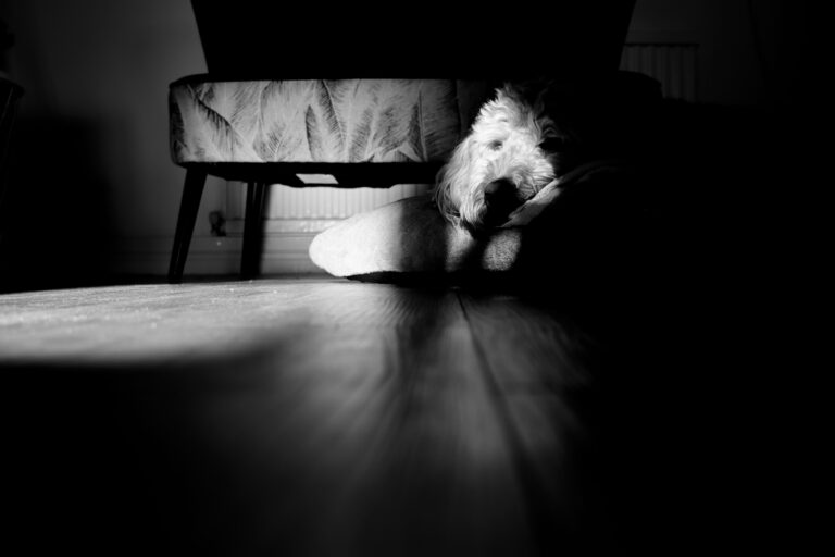 Photo by Paul Pavlou