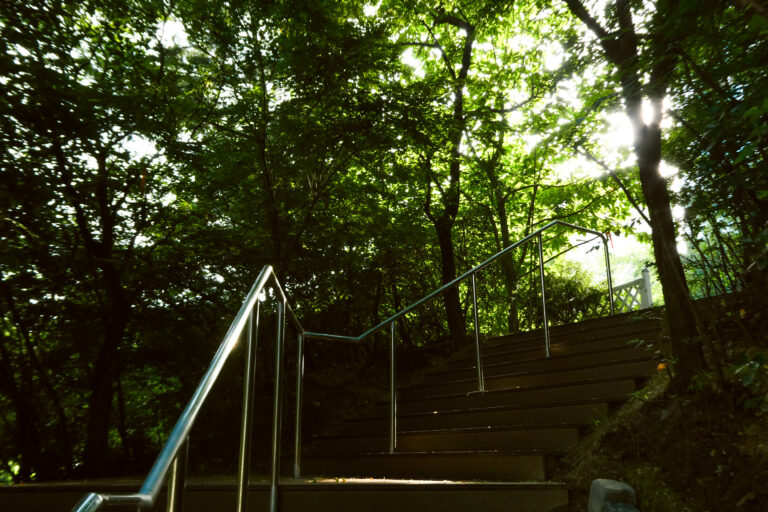Photo by Miree Kim