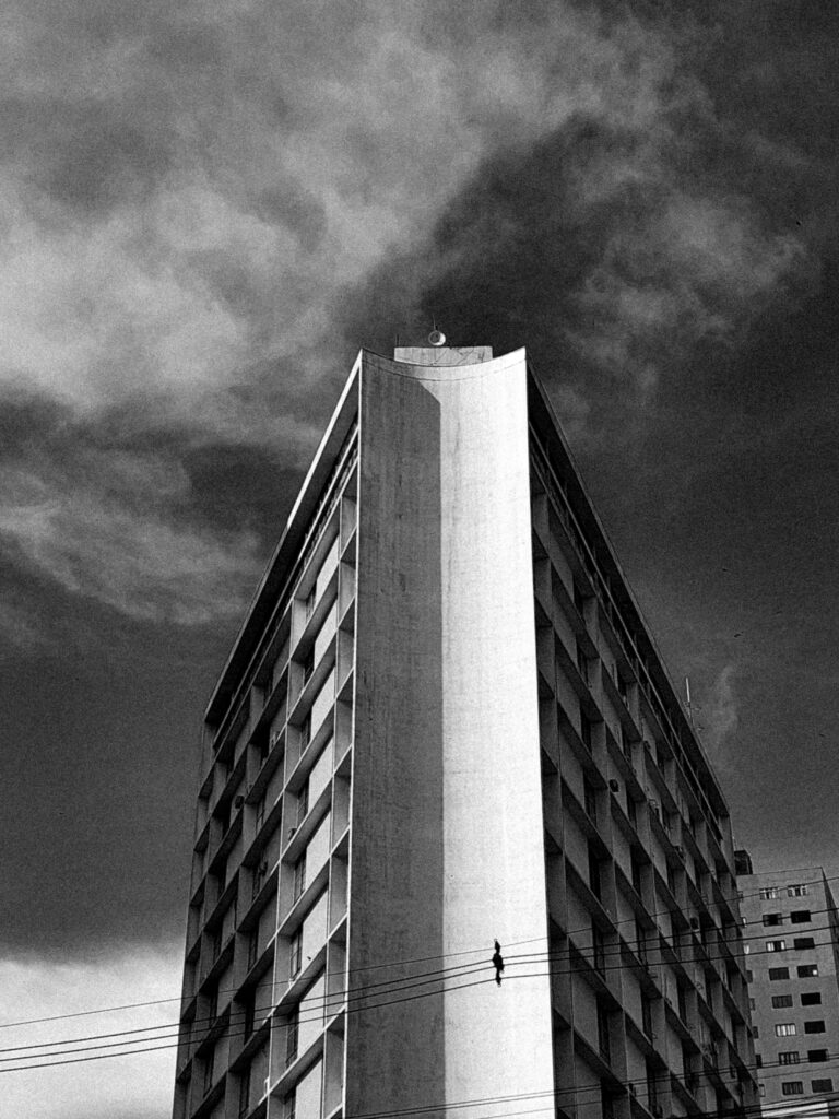 Photo by Amanda Reis